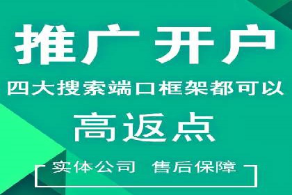 竞价排名案例分析：电商行业