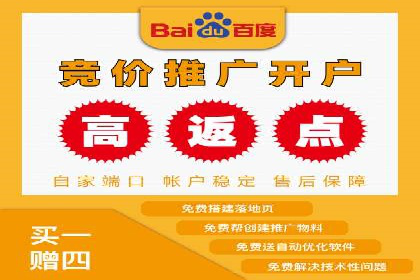 百度移动端应用推广策略探讨